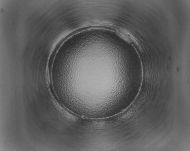 X0000077991080200611031414