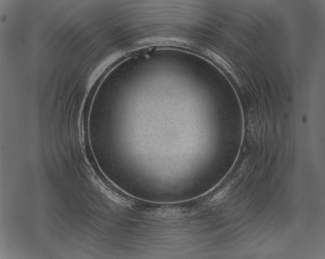 X0000077991082200611031414