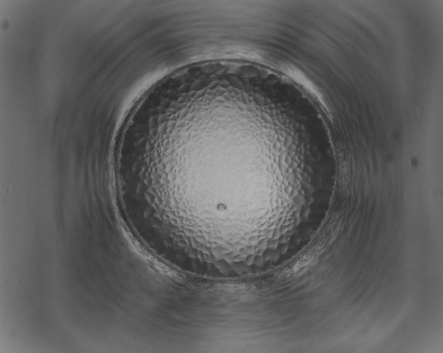 X0000077991088200611031414