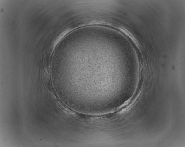 X0000077991097200611031414