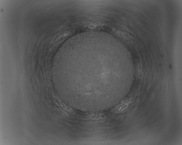 X0000077991105200611031413