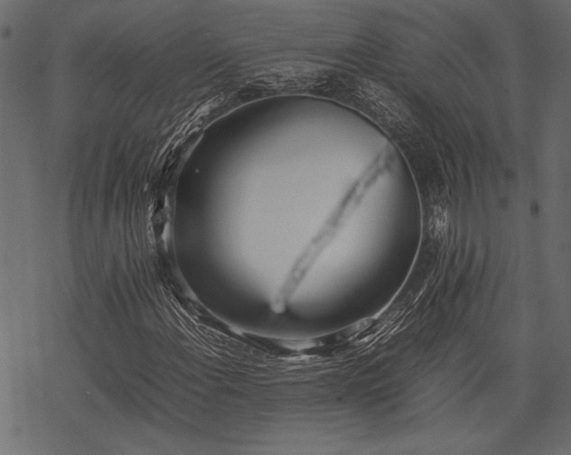 X0000077991108200611031413