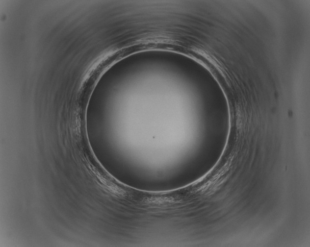 X0000077991115200611031413