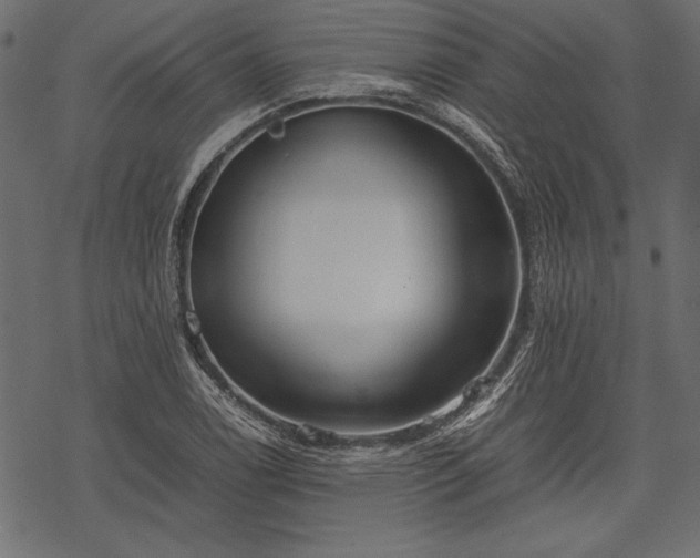 X0000077991122200611031413