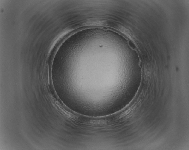 X0000077991123200611031413