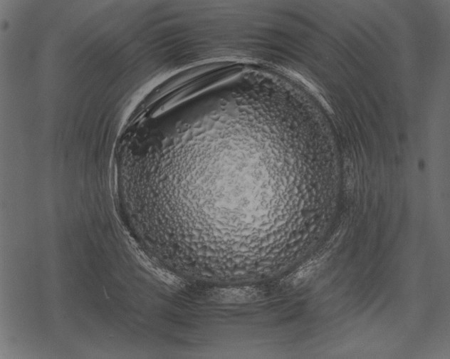 X0000077991125200611031414