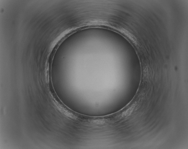 X0000077991126200611031414