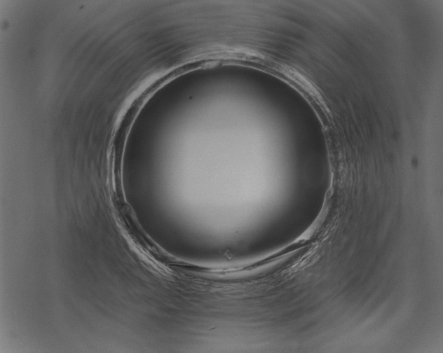 X0000077991128200611031414