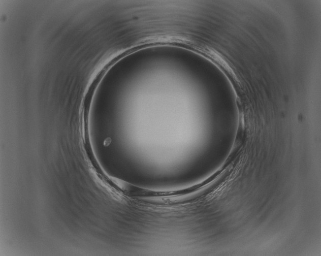 X0000077991132200611031414