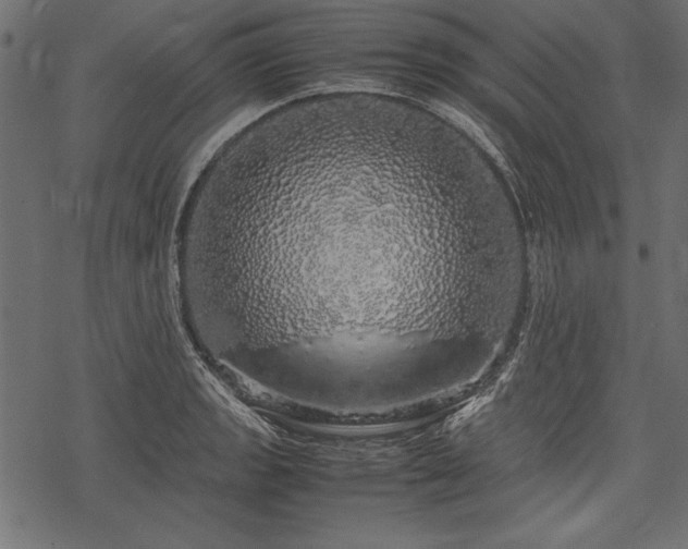 X0000077991133200611031414