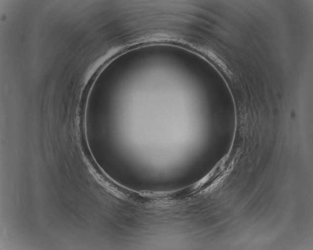X0000077991134200611031414