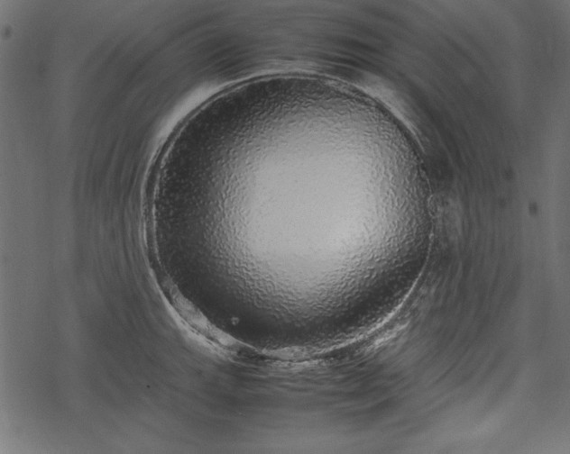 X0000077991143200611031414