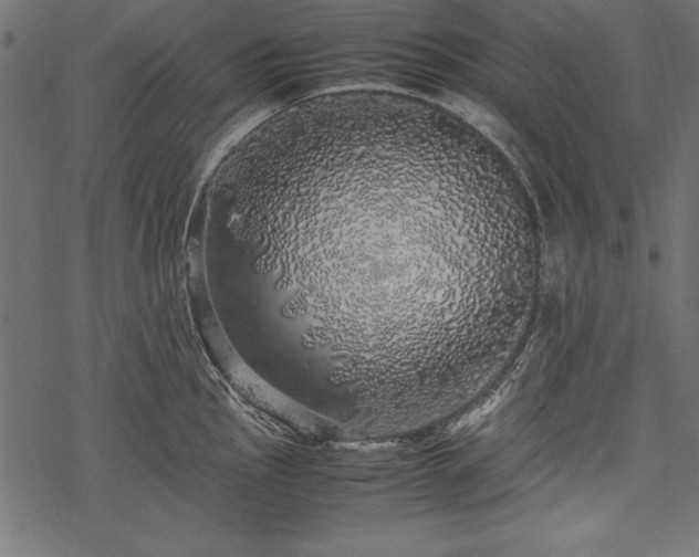 X0000077991145200611031414