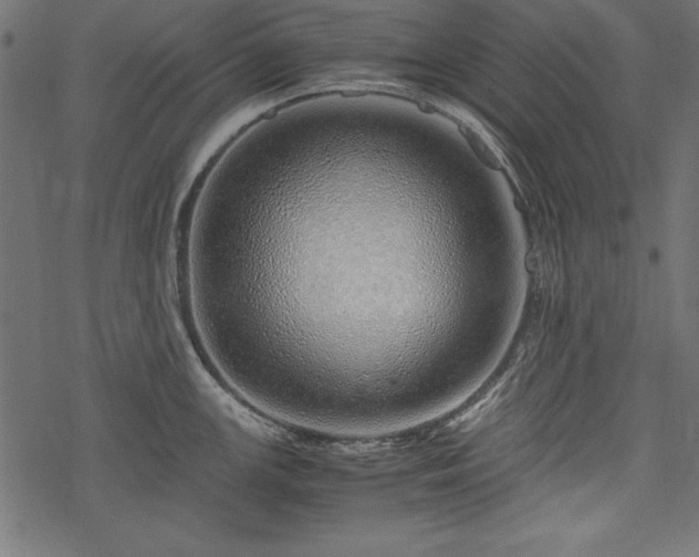X0000077991147200611031414