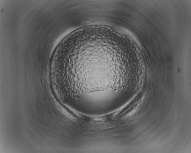 X0000077991149200611031414