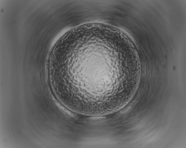 X0000077991151200611031414