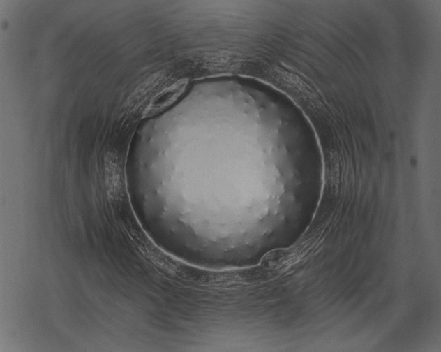 X0000077991154200611031413