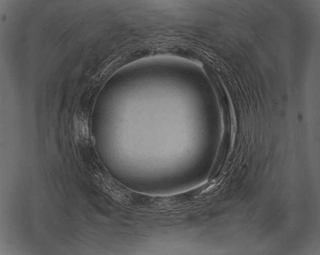 X0000077991155200611031413