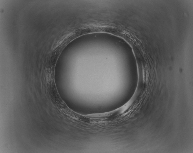 X0000077991157200611031413