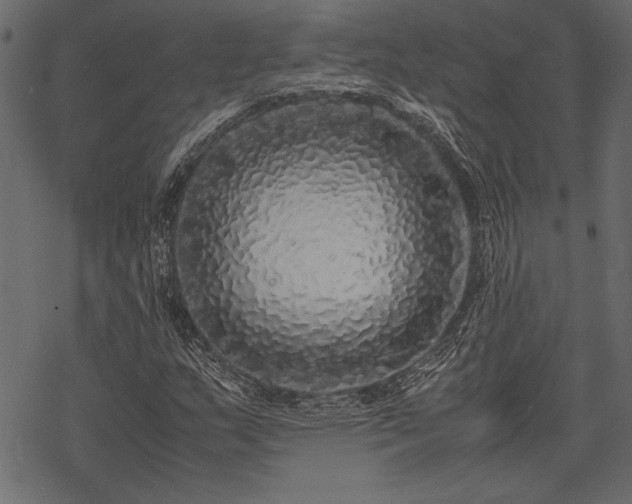 X0000077991159200611031413