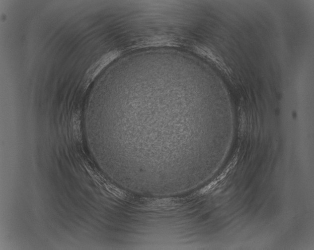 X0000077991162200611031413
