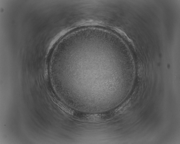 X0000077991167200611031413