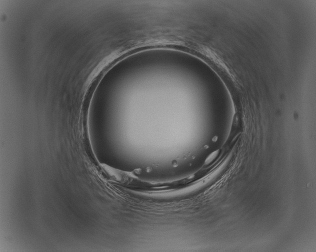 X0000077991173200611031413