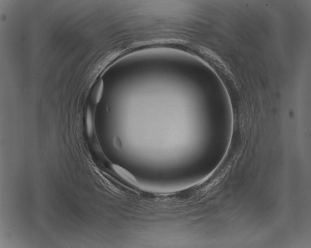 X0000077991177200611031413