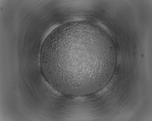 X0000077991178200611031413