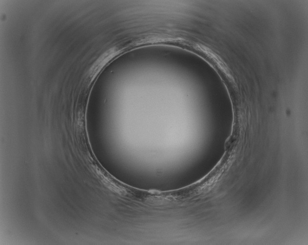 X0000077991185200611031413