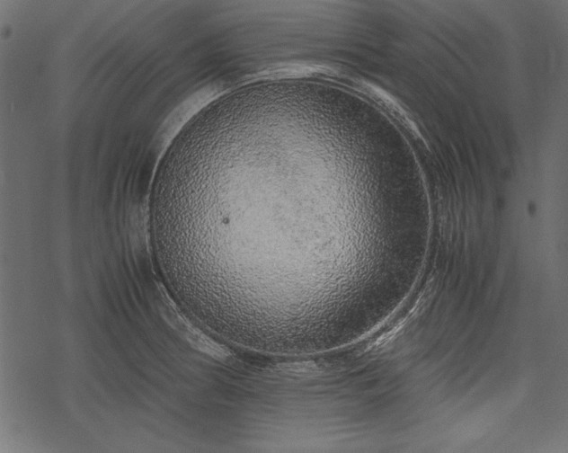 X0000077991186200611031413