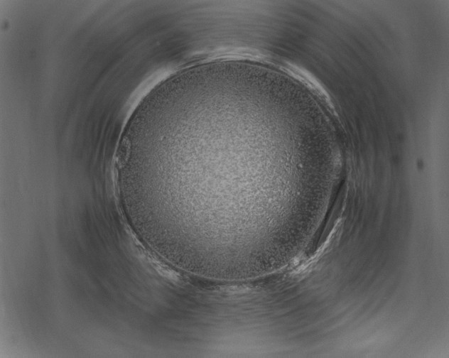 X0000077991190200611031413