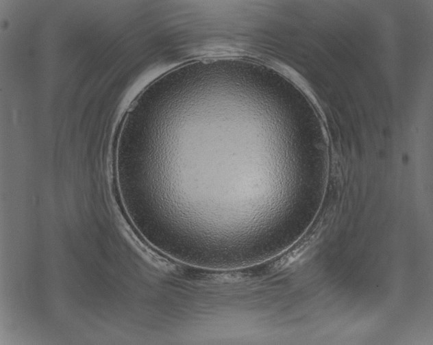 X0000077991195200611031413
