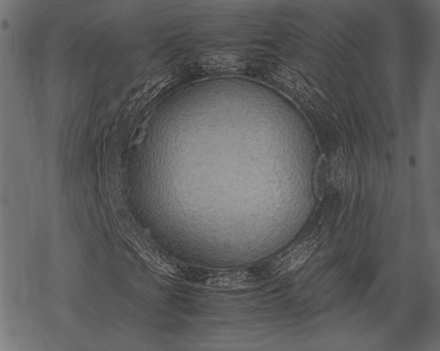 X0000077991201200611031412