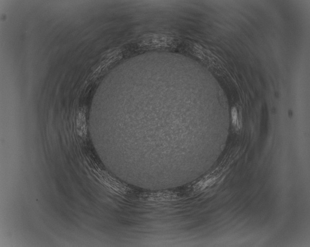 X0000077991203200611031412