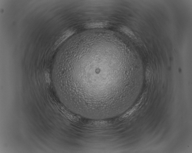 X0000077991209200611031412