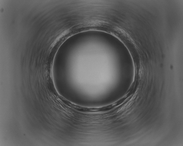 X0000077991210200611031412