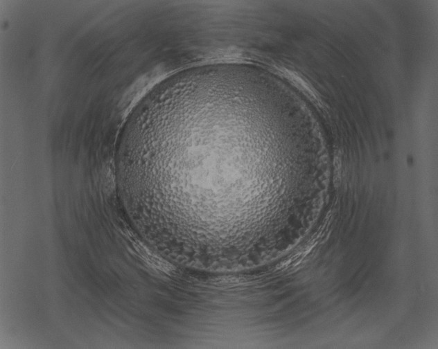 X0000077991212200611031412