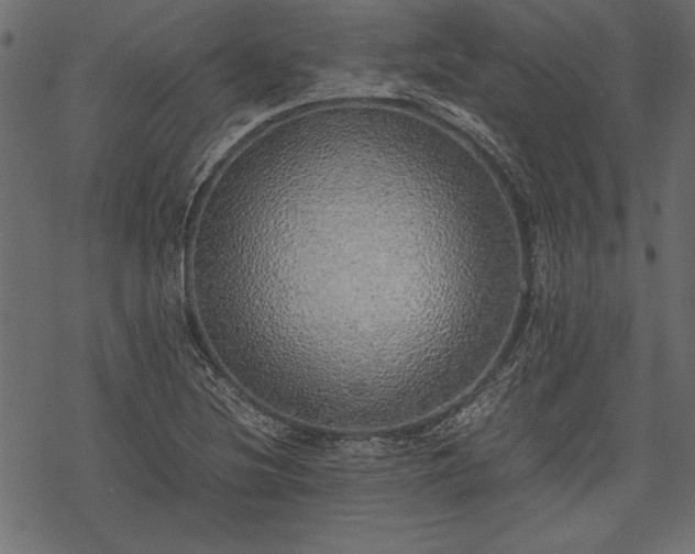 X0000077991220200611031412