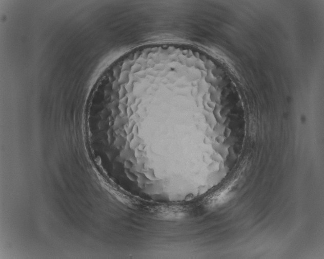 X0000077991231200611031412
