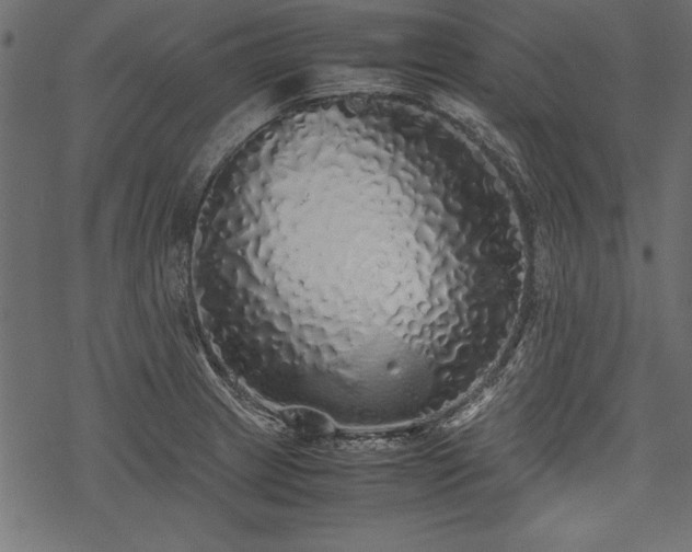 X0000077991233200611031412