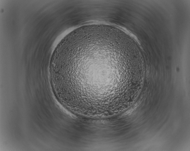 X0000077991239200611031412