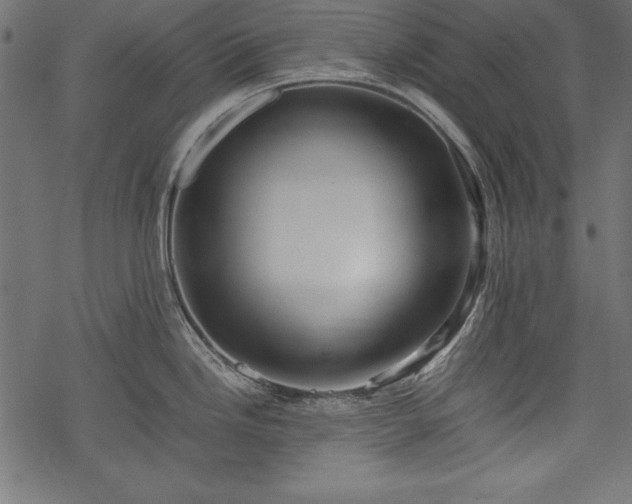 X0000077991246200611031412