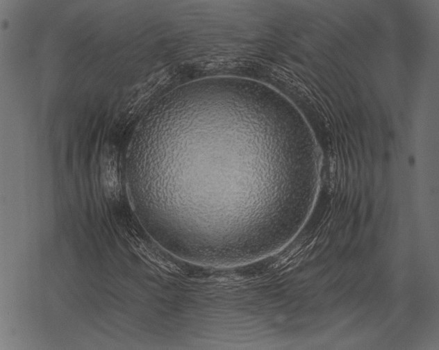 X0000077991250200611031412