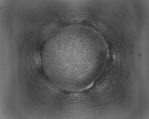 X0000077991252200611031412