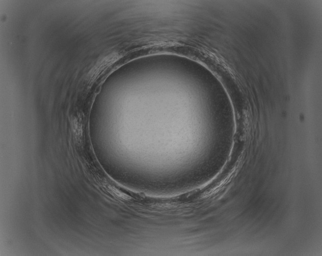 X0000077991257200611031412
