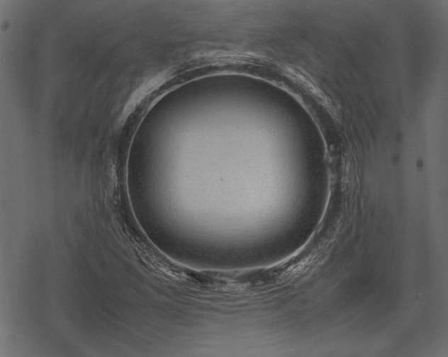 X0000077991261200611031411
