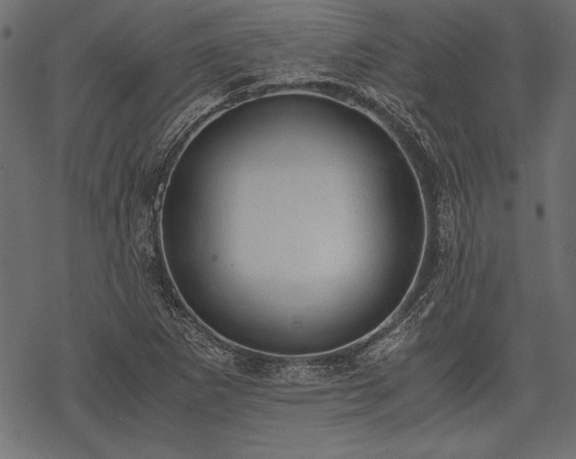 X0000077991265200611031411