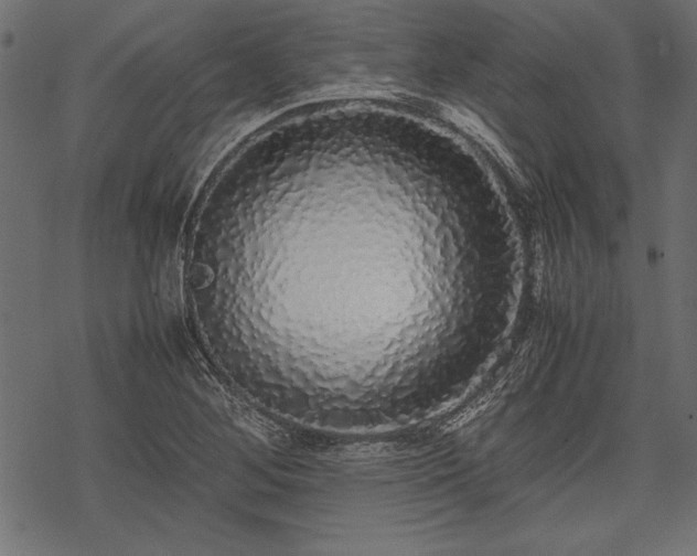 X0000077991268200611031411