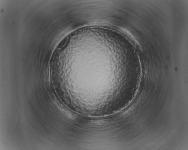 X0000077991276200611031411